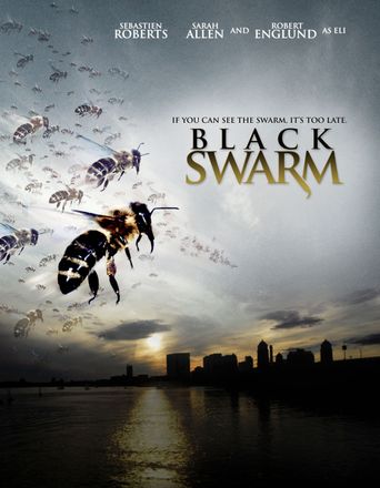  Black Swarm Poster