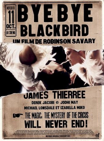  Bye Bye Blackbird Poster