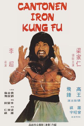  Cantonen Iron Kung Fu Poster