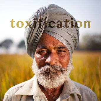 Toxification Poster