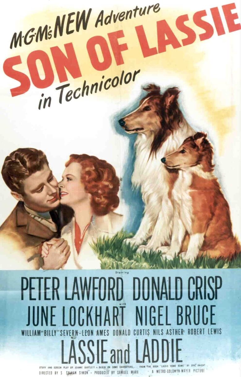 Son of Lassie Poster