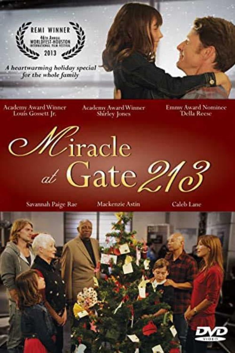 Miracle at Gate 213 Poster