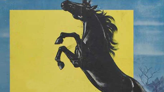 Courage of Black Beauty Backdrop