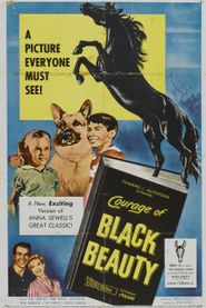  Courage of Black Beauty Poster