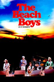 The Beach Boys Live At Knebworth 1980 Poster