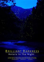  Brilliant Darkness: Hotaru in the Night Poster