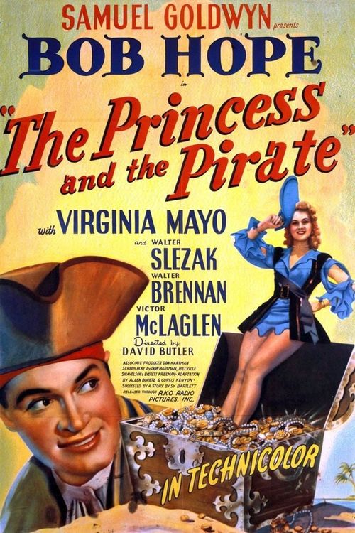 The Princess and the Pirate Poster