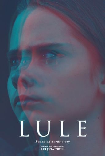 WELCOME TO LULE visual data 5