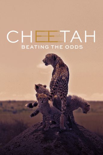  Cheetah: Beating the Odds Poster