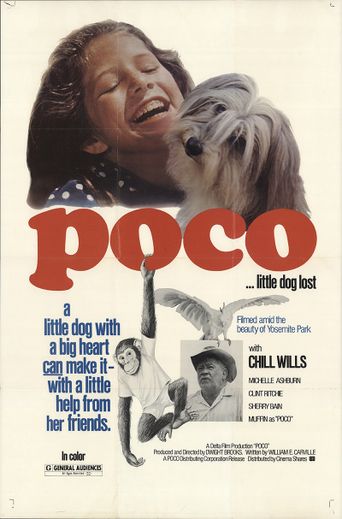  Poco… Little Dog Lost Poster
