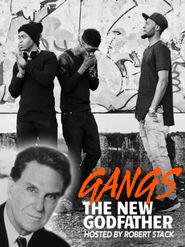  Gangs: The New Godfathers, Hosted by Robert Stack Poster