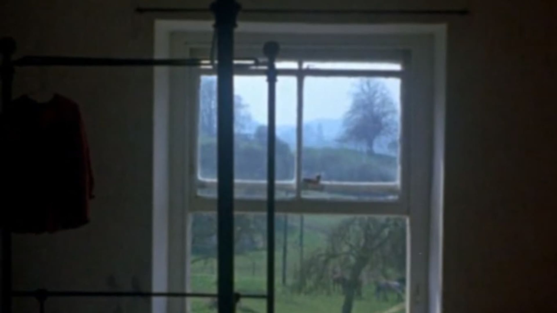 Windows Backdrop