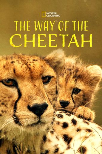  The Way of the Cheetah Poster