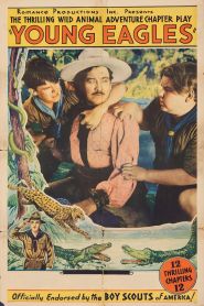  Young Eagles Poster
