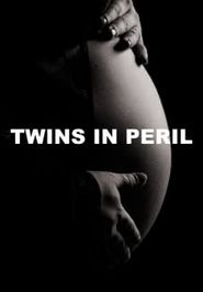  Twins in Peril Poster