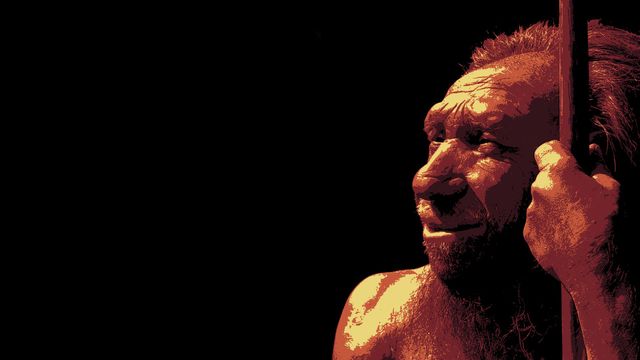 Der Neandertaler in uns Backdrop