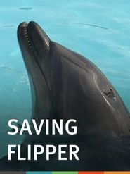  Saving Flipper Poster