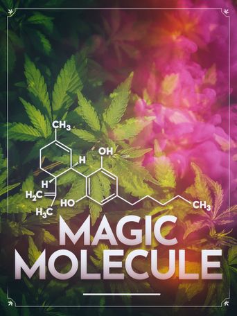 Magic Molecule Poster
