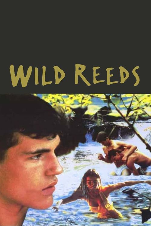 Wild Reeds Poster