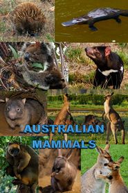  Australian Mammals Poster