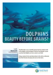  Dolphins: Beauty Before Brains Poster