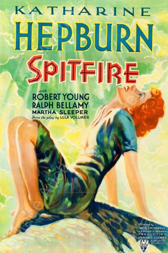 Spitfire Poster