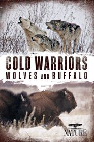  Cold Warriors: Wolves and Buffalo Poster