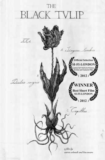 The Black Tulip Poster