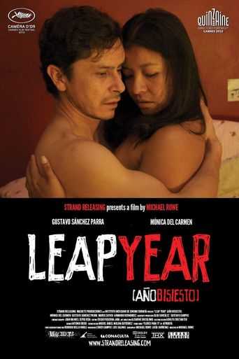  Leap Year Poster