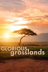  Glorious Grasslands Poster