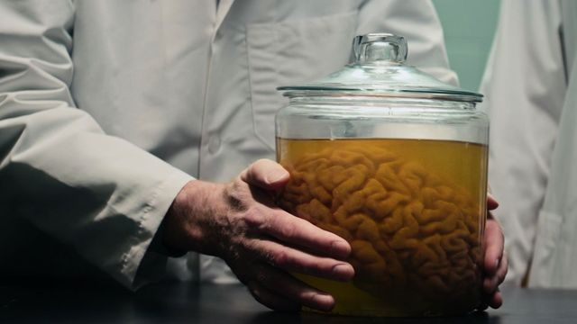 Secrets of Einstein's Brain Backdrop