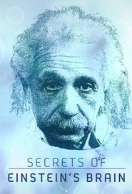  Secrets of Einstein's Brain Poster