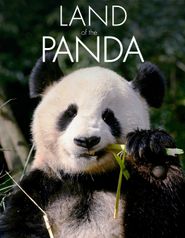  Land of the Panda Poster