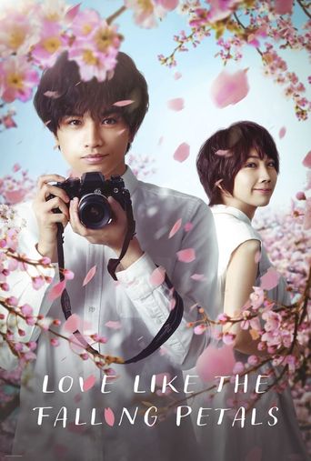  Love Like the Falling Petals Poster