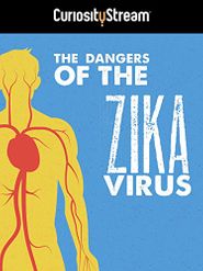  The Dangers of the Zika Virus Poster
