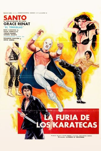  The Fury of the Karate Experts Poster