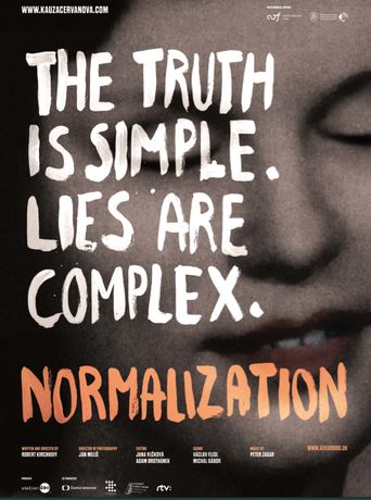  Normalization Poster