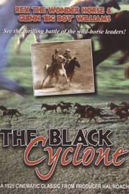  Black Cyclone Poster