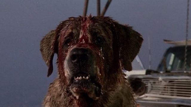 Cujo Backdrop