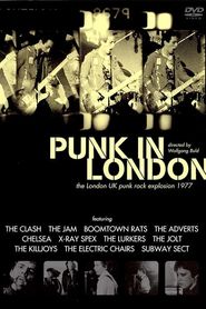  Punk in London Poster