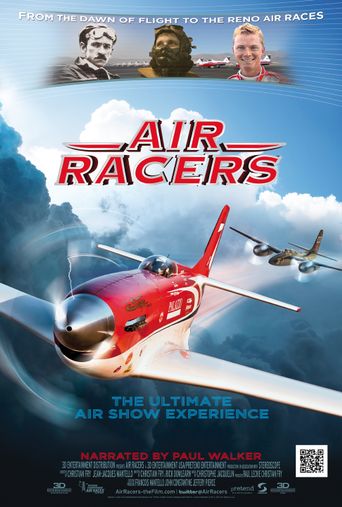  Air Racers 3D Poster