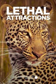 Lethal Attractions Poster