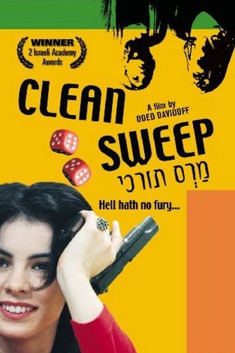  Clean Sweep Poster