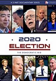  2020 Election: The Democratic Bid Poster