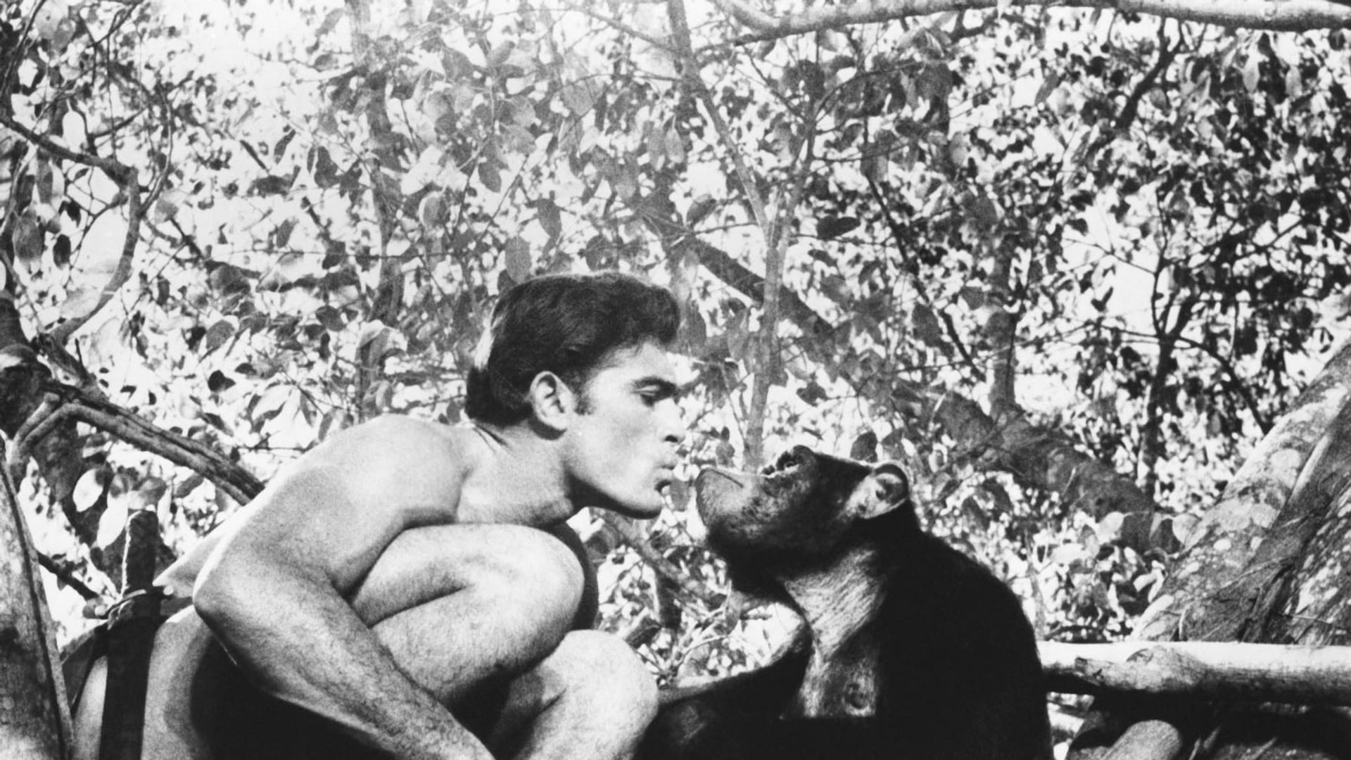 Tarzan and the Valley of Gold Backdrop