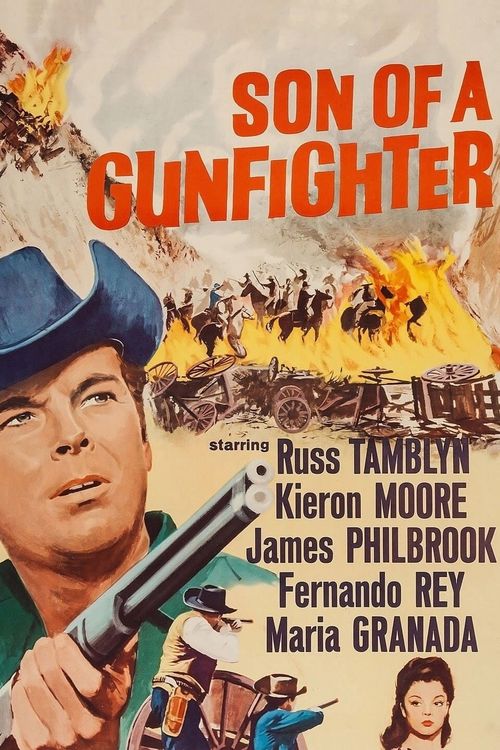 Son of a Gunfighter Poster