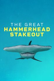  Great Hammerhead Stakeout Poster