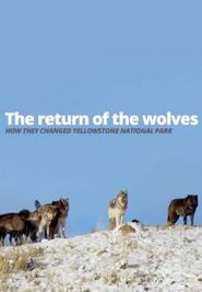  Return of the Wolves Poster