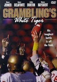  Grambling's White Tiger Poster