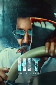  HIT: The 3rd Case Poster